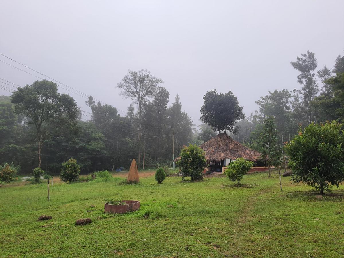 StoneAge Resort Ballupet Sakleshpur Eksteriør bilde