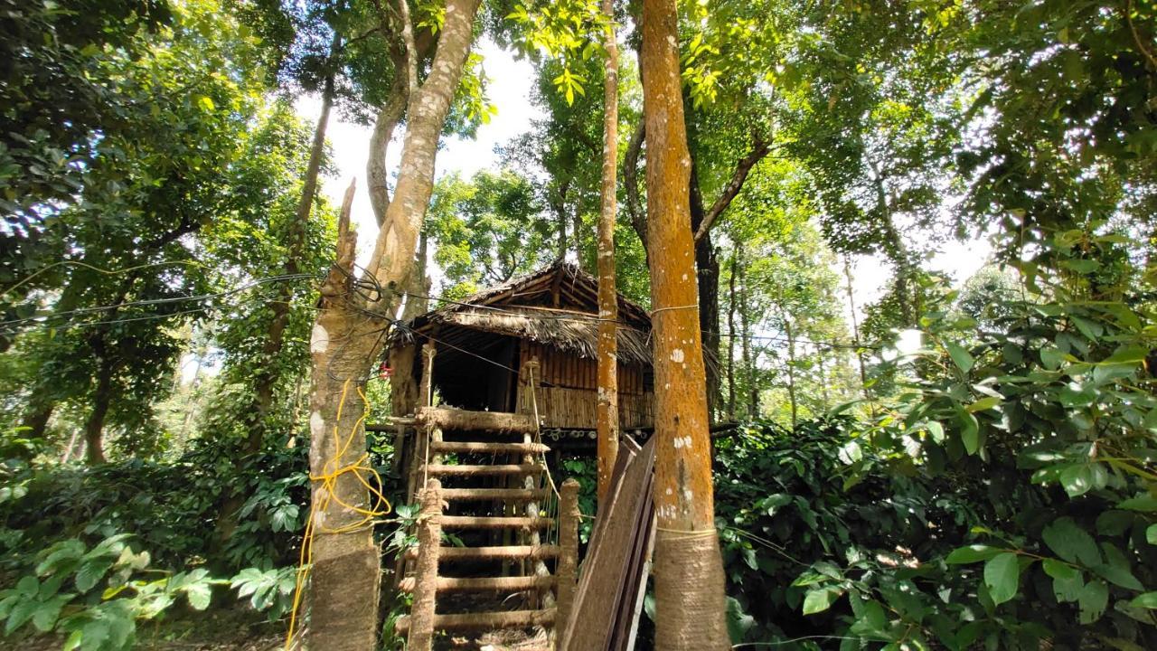 StoneAge Resort Ballupet Sakleshpur Eksteriør bilde