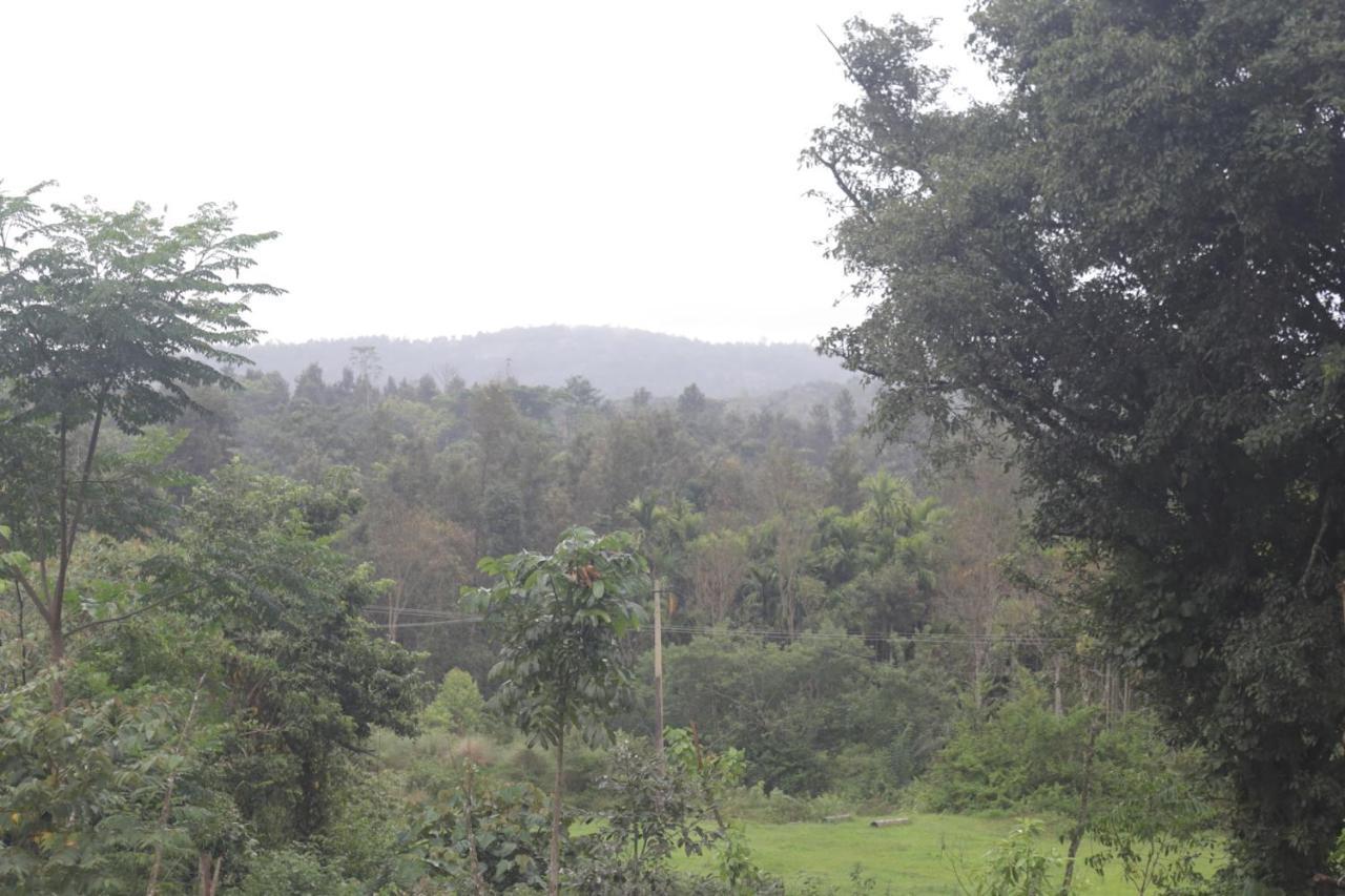 StoneAge Resort Ballupet Sakleshpur Eksteriør bilde